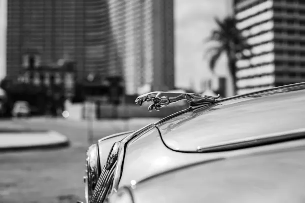 Kasino Loony Bingo Android/iOS Aplikácia